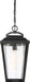Nuvo Lighting - 60-6514 - One Light Hanging Lantern - Lakeview - Aged Bronze / Brass