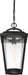 Nuvo Lighting - 60-6514 - One Light Hanging Lantern - Lakeview - Aged Bronze / Brass