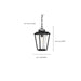 Nuvo Lighting - 60-6514 - One Light Hanging Lantern - Lakeview - Aged Bronze / Brass
