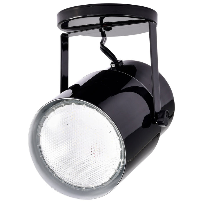 Nuvo Lighting - SF77-394 - One Light Plant Lamp - Black / Steel