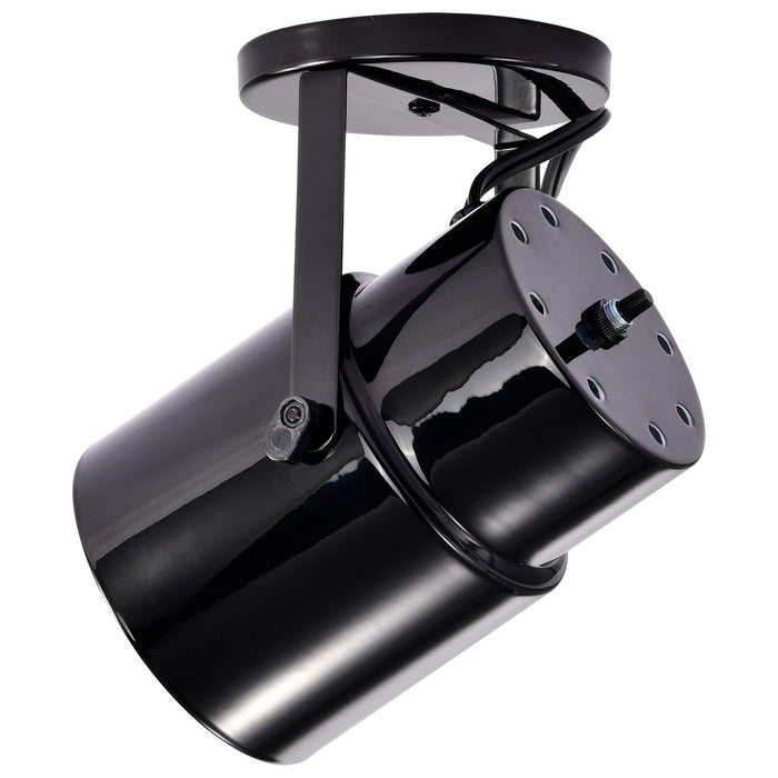 Nuvo Lighting - SF77-394 - One Light Plant Lamp - Black / Steel