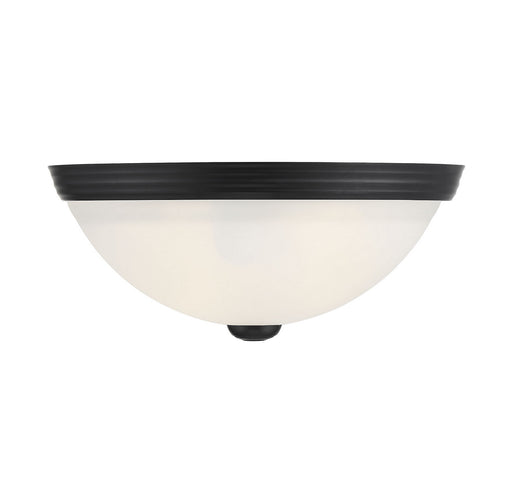 Flush mount Two Light Flush Mount Matte Black