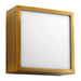 Quorum - 3-610-40 - LED Ceiling Mount - Pyxis - Aged Brass