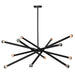 Renwil - LPC4095 - 12 Light Ceiling Fixture - Clemente - Black