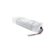 Dainolite Ltd - DMDR43-96 - LED Driver - White