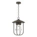 Hubbardton Forge - 356010-SKT-77-ZM0467 - One Light Outdoor Pendant - Erlenmeyer - Coastal Dark Smoke