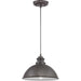 Progress Lighting - P550032-103 - One Light Hanging Lantern - Englewood - Antique Pewter