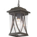 Progress Lighting - P550040-020 - One Light Hanging Lantern - Abbott - Antique Bronze