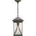 Progress Lighting - P550040-020 - One Light Hanging Lantern - Abbott - Antique Bronze