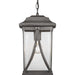 Progress Lighting - P550040-103 - One Light Hanging Lantern - Abbott - Antique Pewter