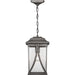 Progress Lighting - P550040-103 - One Light Hanging Lantern - Abbott - Antique Pewter
