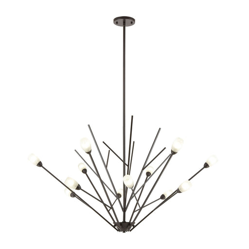 Ocotillo 12 Light Chandelier