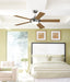 Fanimation - FP8062BBN - 52 Inches Ceiling Fan - Celano V2 - Brushed Nickel