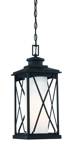 Lansdale One Light Chain Hung Outdoor Matte Black