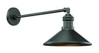 Minka-Lavery - 7986-14-172 - Shade - RLM - Smoked Iron