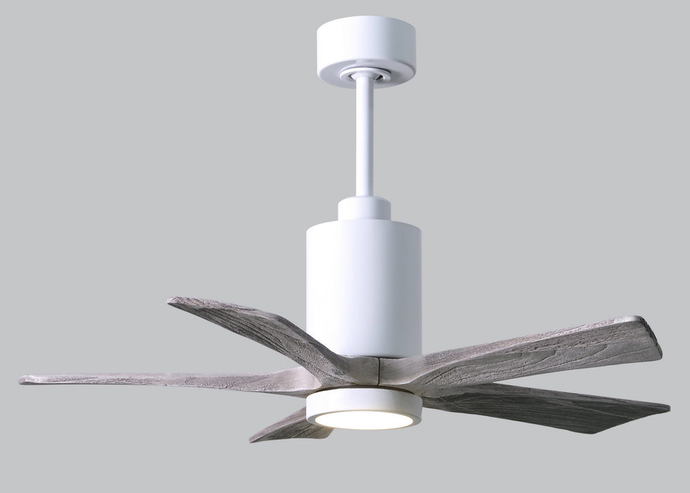 Matthews Fan Company - PA5-WH-BW-42 - 42 Inch Ceiling Fan - Patricia - Gloss White