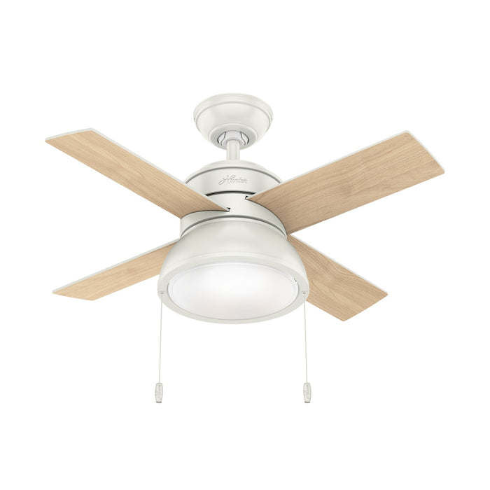 Hunter - 59385 - 36 InchesCeiling Fan - Loki - Fresh White