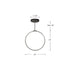 Kuzco Lighting - PD82524-BK - LED Pendant - Cirque - Black