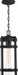 Nuvo Lighting - 60-6574 - One Light Hanging Lantern - Tofino - Textured Black