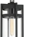 Nuvo Lighting - 60-6574 - One Light Hanging Lantern - Tofino - Textured Black