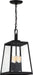 Nuvo Lighting - 60-6584 - Four Light Hanging Lantern - Halifax - Matte Black