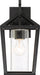 Nuvo Lighting - 60-6592 - One Light Outdoor Wall Lantern - Hopewell - Matte Black