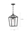 Nuvo Lighting - 60-6594 - One Light Hanging Lantern - Hopewell - Matte Black
