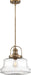 Nuvo Lighting - 60-6757 - One Light Pendant - Basel - Burnished Brass / Clear