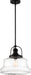 Nuvo Lighting - 60-6759 - One Light Pendant - Basel - Bronze / Clear Glass
