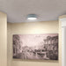 Access - 50941LEDD-GRY/ACR - LED Flush Mount - Radiant - Gray