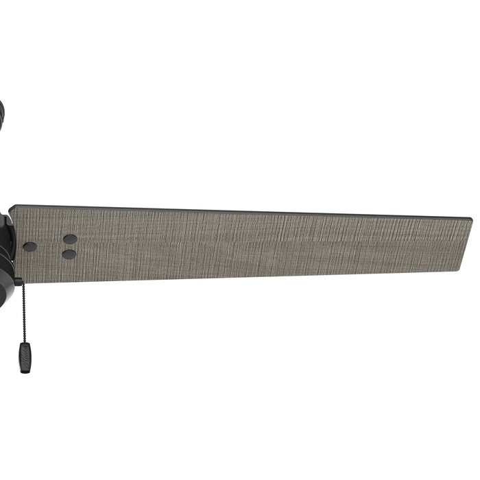Cassius 52" Ceiling Fan-Fans-Hunter-Lighting Design Store