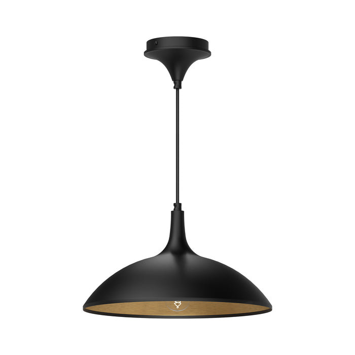 Abel One Light Pendant Matte Black-Pendants-Alora-Lighting Design Store