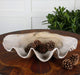 Clam Bowl Antique White-Home Accents-Uttermost-Lighting Design Store