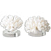 Hard Coral Sculpture, Set/2 Textured Cream-Home Accents-Uttermost-Lighting Design Store
