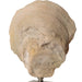 Oyster Sculpture, Set/2 Aged Ivory-Home Accents-Uttermost-Lighting Design Store