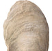 Oyster Sculpture, Set/2 Aged Ivory-Home Accents-Uttermost-Lighting Design Store