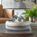 Ombra Bowl Soothing Gradient-Home Accents-Uttermost-Lighting Design Store