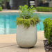 Rustic Ridge Planter Natural-Home Accents-Uttermost-Lighting Design Store
