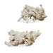 Elemental Root Sculpture Bleached Residi Wood-Home Accents-Uttermost-Lighting Design Store