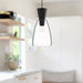 Arlo One Light Pendant Clear Glass/Matte Black-Mini Pendants-Alora-Lighting Design Store