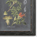 Midnight Botanicals Wall Art Black-Mirrors/Pictures-Uttermost-Lighting Design Store