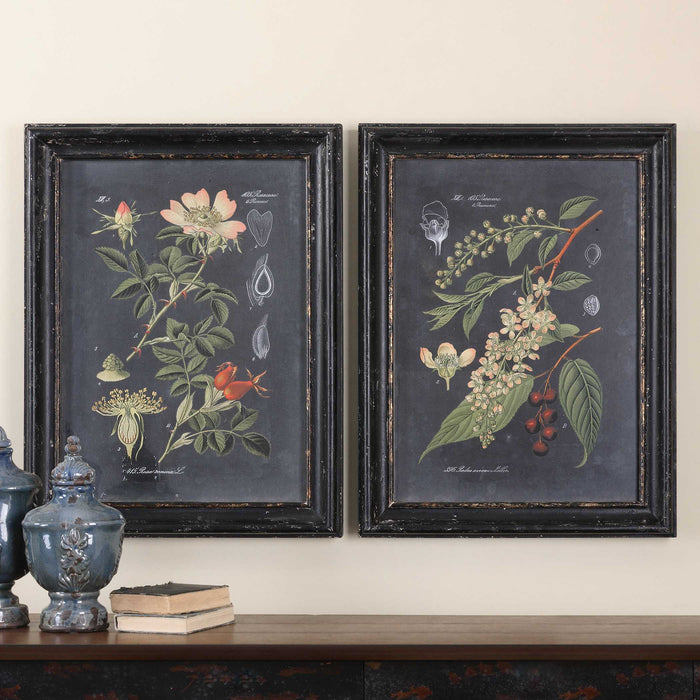 Midnight Botanicals Wall Art Black-Mirrors/Pictures-Uttermost-Lighting Design Store