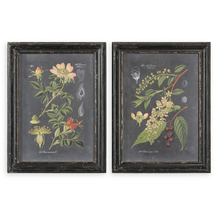 Midnight Botanicals Wall Art Black-Mirrors/Pictures-Uttermost-Lighting Design Store
