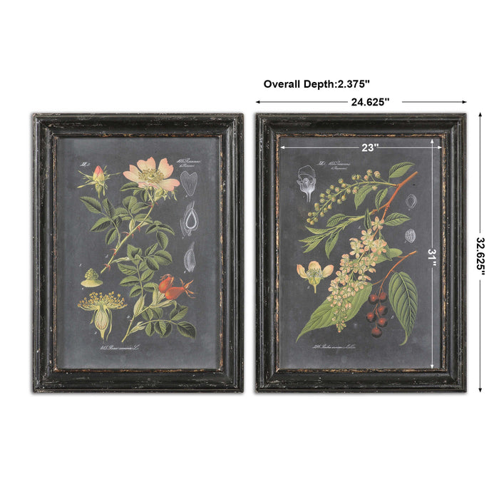 Midnight Botanicals Wall Art Black-Mirrors/Pictures-Uttermost-Lighting Design Store