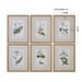 Green Floral Botanical Study Wall Art Gold Leaf-Mirrors/Pictures-Uttermost-Lighting Design Store