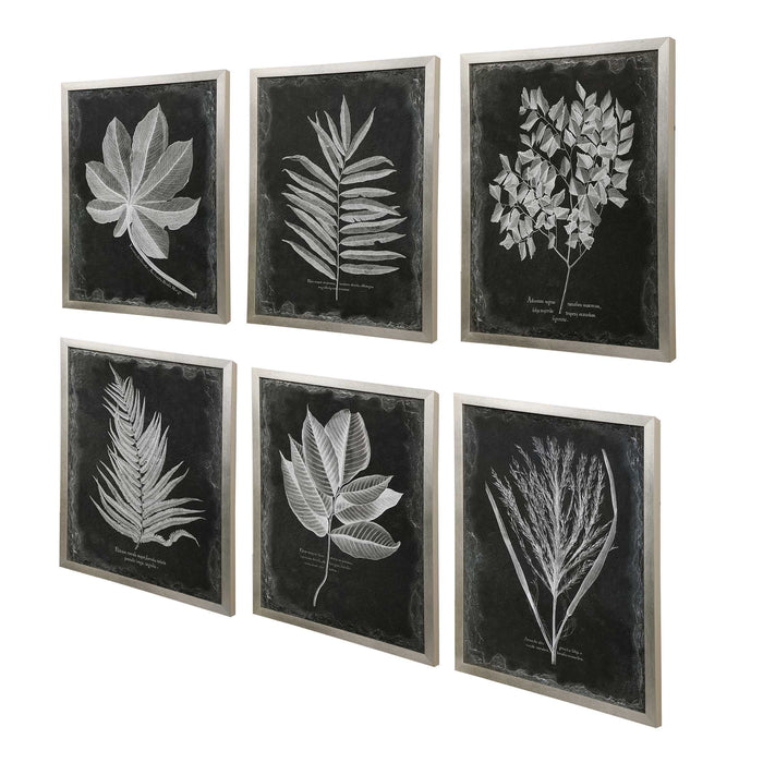 Foliage Wall Art Champagne Silver-Mirrors/Pictures-Uttermost-Lighting Design Store