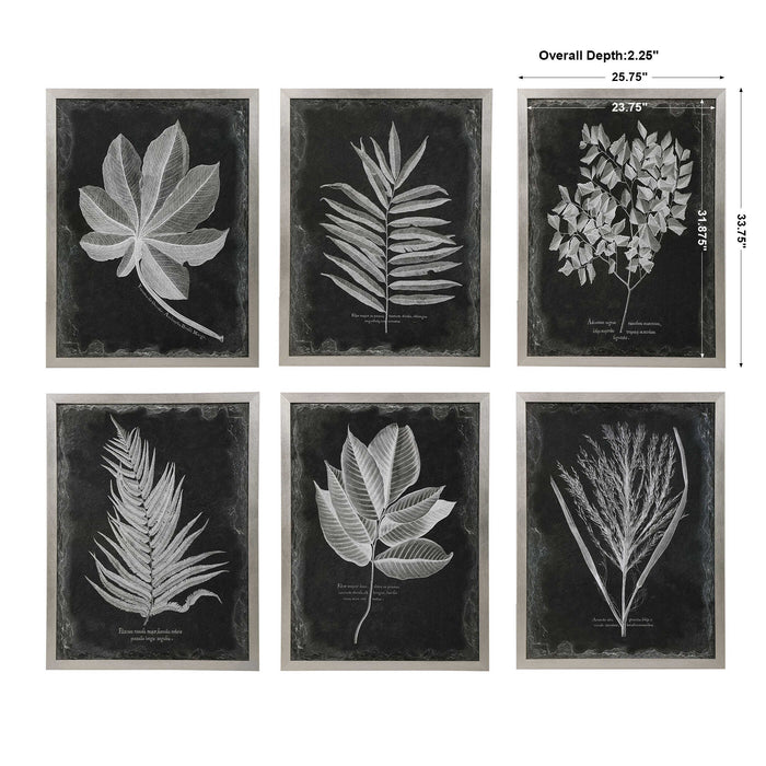 Foliage Wall Art Champagne Silver-Mirrors/Pictures-Uttermost-Lighting Design Store