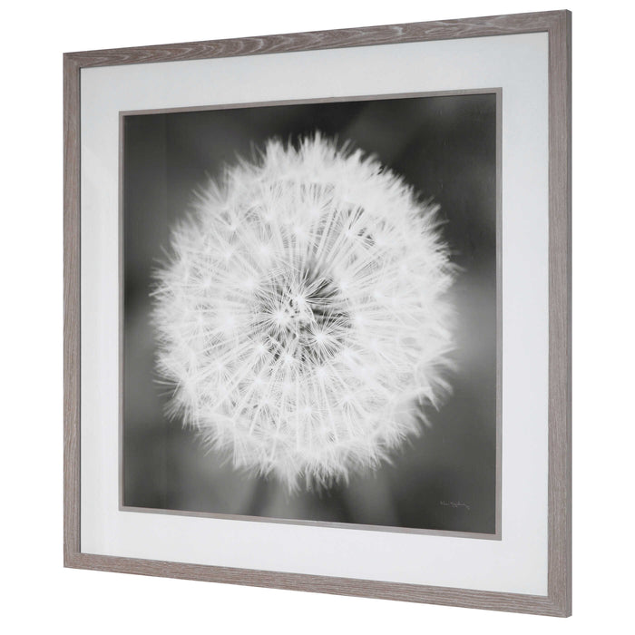 Dandelion Seedhead Framed Print Driftwood Look-Mirrors/Pictures-Uttermost-Lighting Design Store