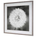Dandelion Seedhead Framed Print Driftwood Look-Mirrors/Pictures-Uttermost-Lighting Design Store