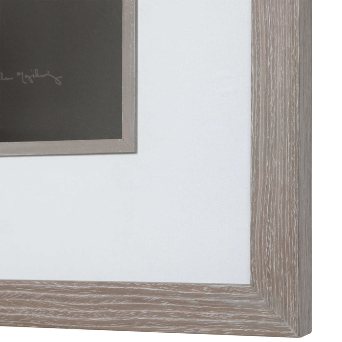 Dandelion Seedhead Framed Print Driftwood Look-Mirrors/Pictures-Uttermost-Lighting Design Store